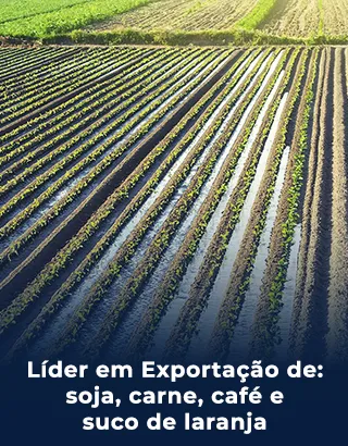 Líder em exportação de soja, carne, café e suco de laranja