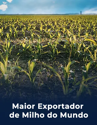 Maior exportador de milho do mundo