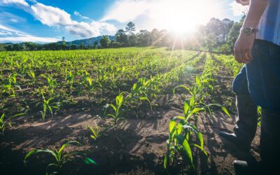 Desvendando os Benefícios dos Fundos de Investimento no Agronegócio