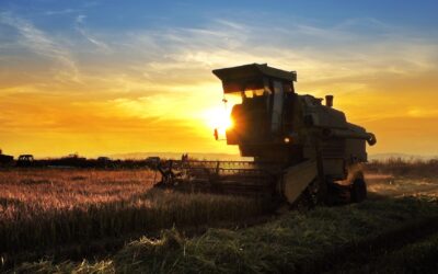 Por que investir em fundos de investimentos de agronegócio?